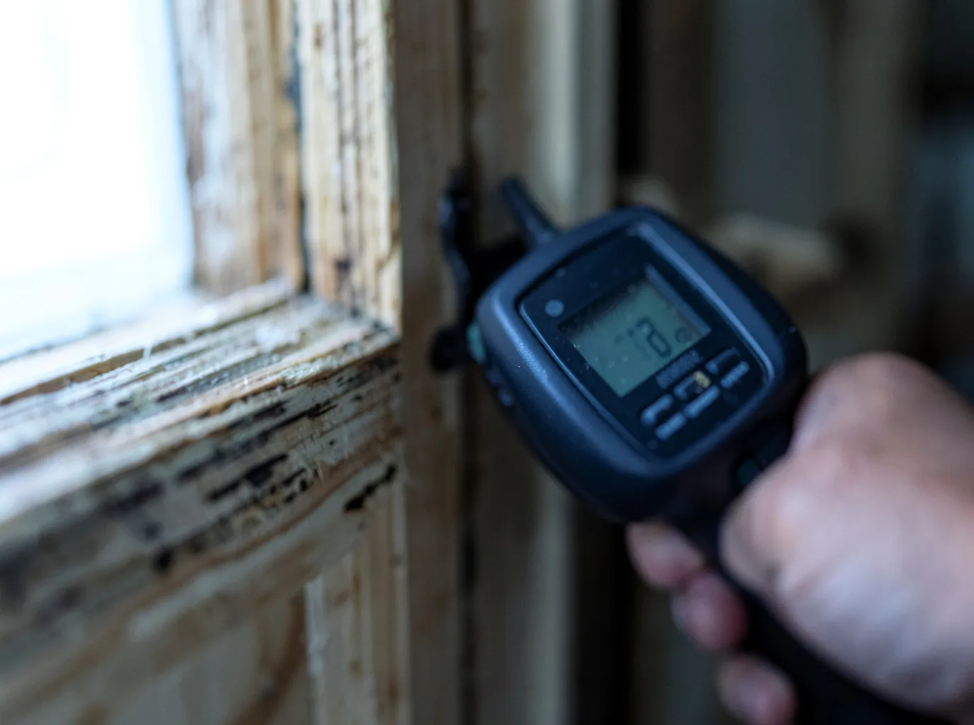 Moisture Inspection And Documentation in Albion, MI